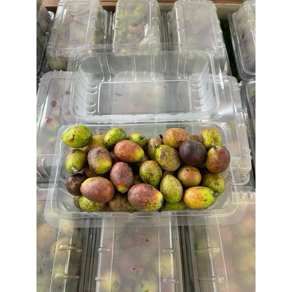 Buah Matoa Madu Super Fresh 1kg