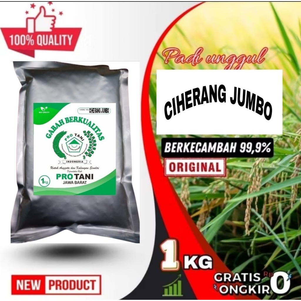 CIHERANG JUMBO 1KG GABAH TERBANYAK HASIL UNGGUL KWALITAS LABEL PUTIH ORI