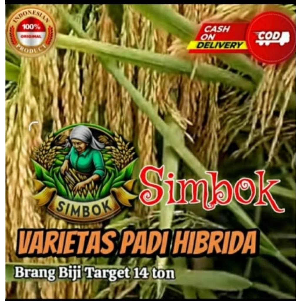 Benih padi simbok varietas padi hibrida 1kg