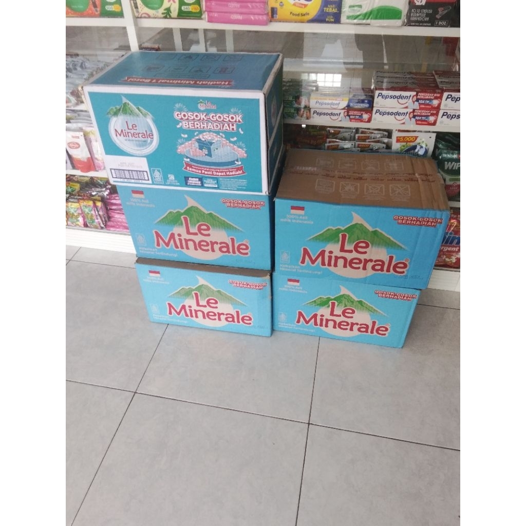 le minerale 600ml karton