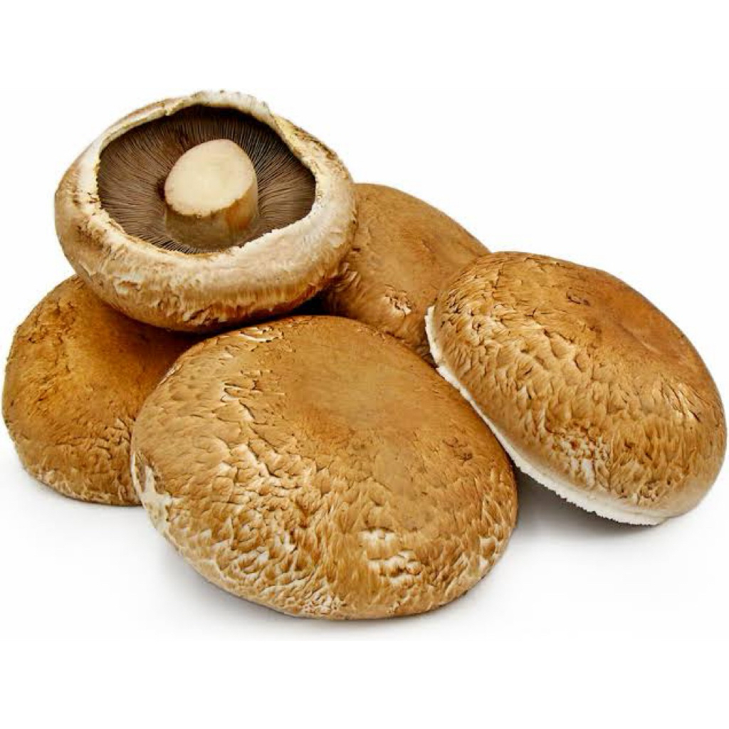 Jamur Portobello Fresh | Pack Kualitas Terbaik Original