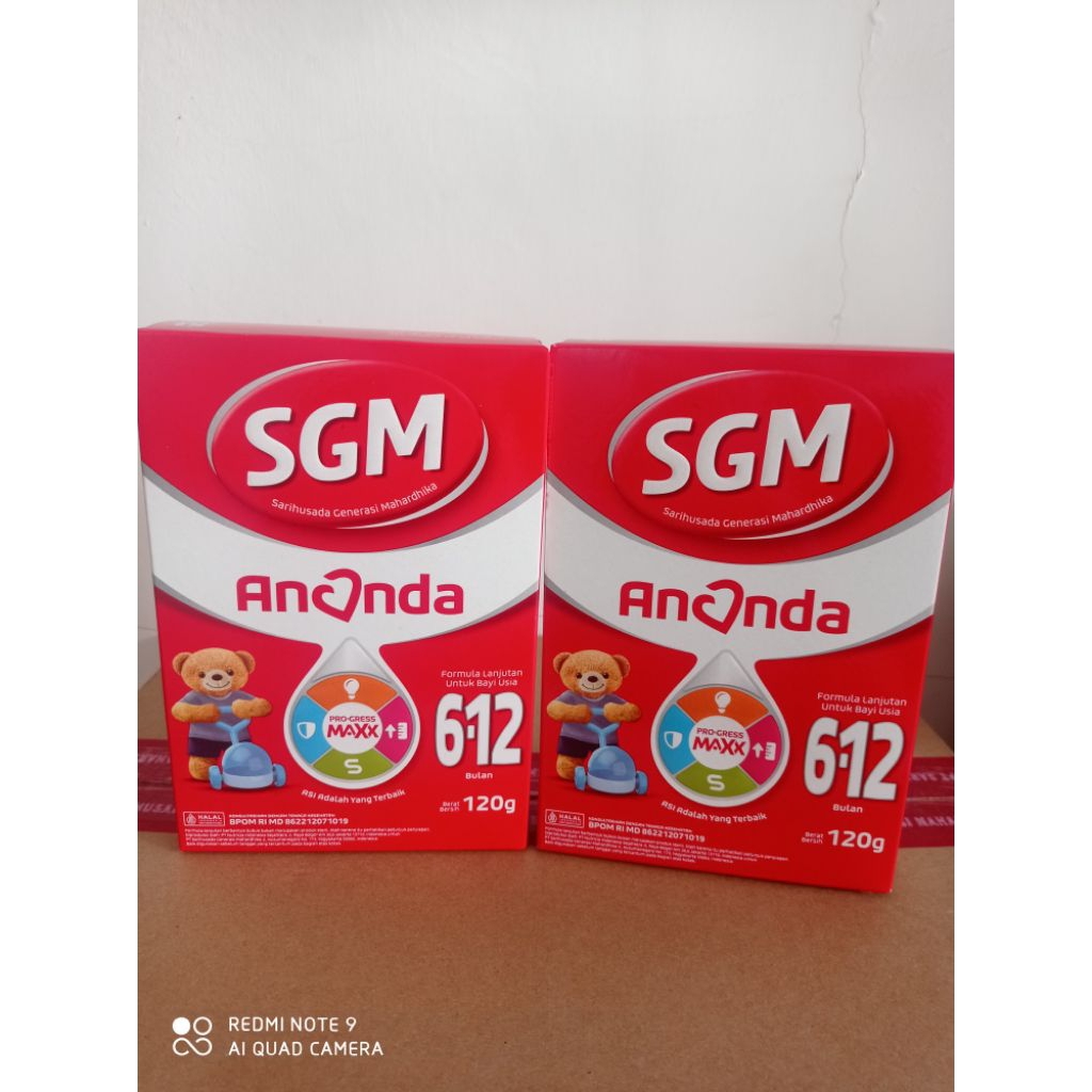 SGM Ananda 6-12 Bulan 120 gram