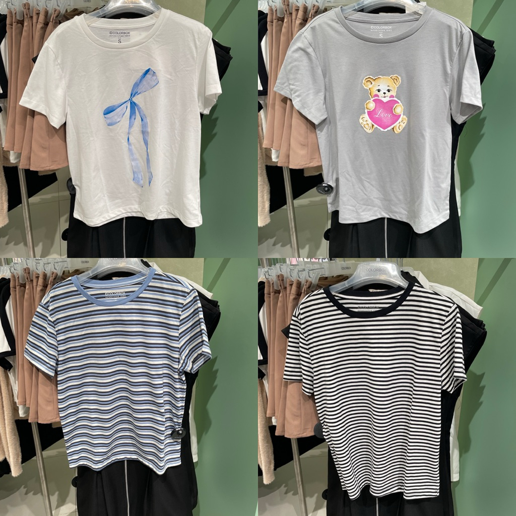 (SALE‼️) Kaos colorbox