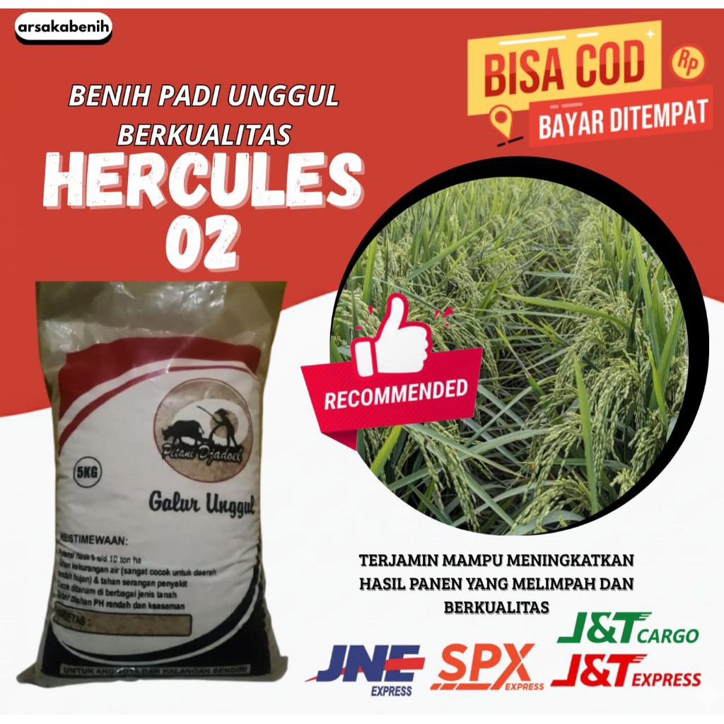 padi unggul Hercules 02 kemasan 5kg padi unggul Hercules 02