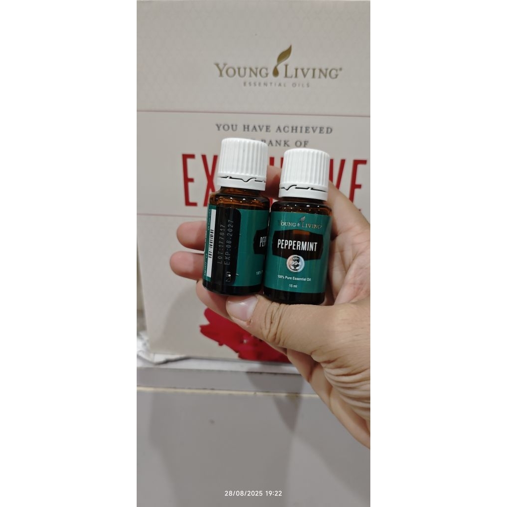 OIL PEPPERMINT SIZE 15 ML ORIGINAL ESSENTIAL OIL YLEO