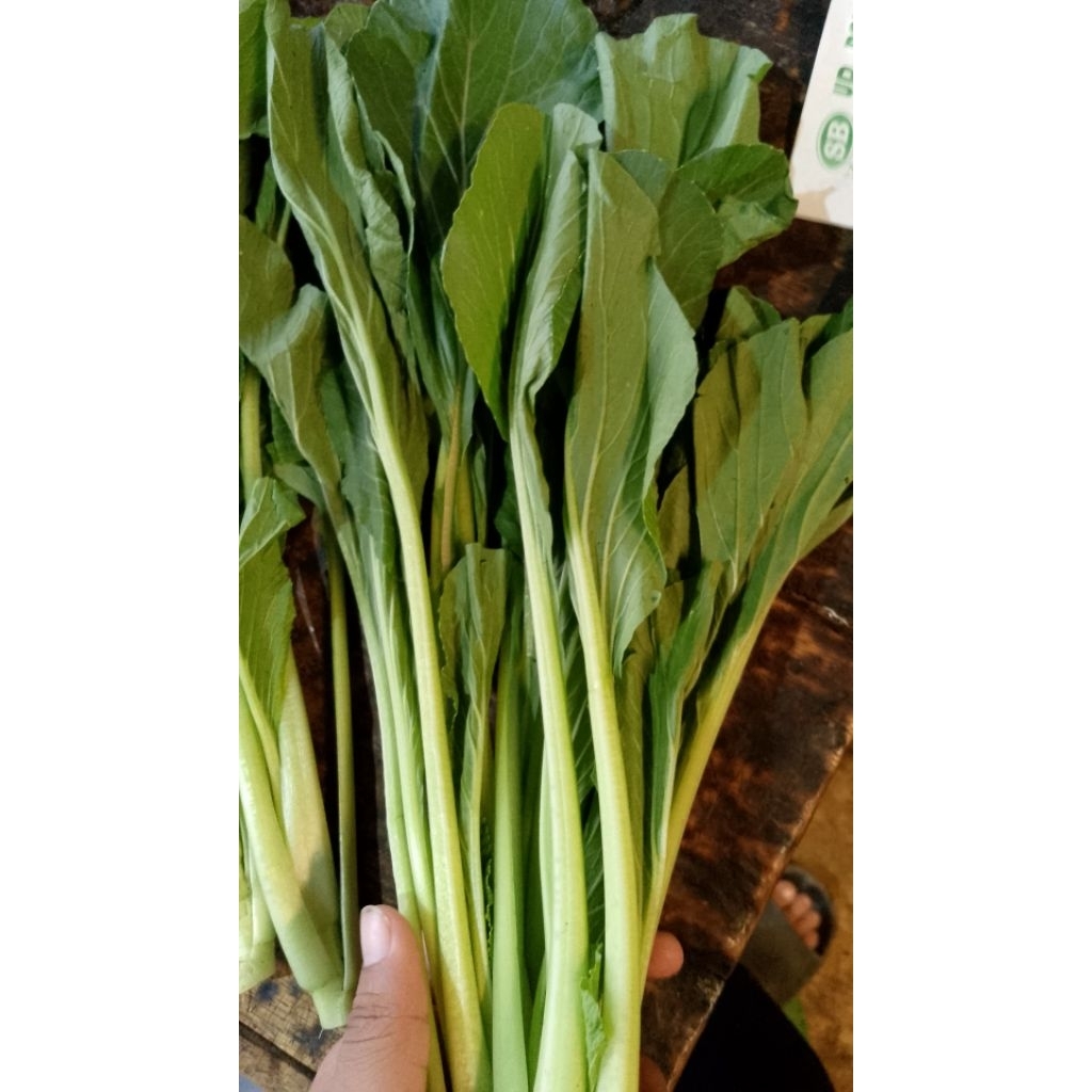 Sayur Sawi Hijau Segar 1kg - Sawi Ijo Fresh 1 kg