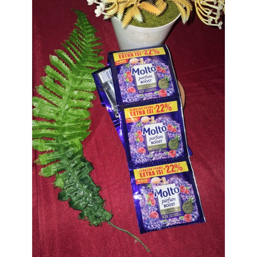 molto pewangi renceng