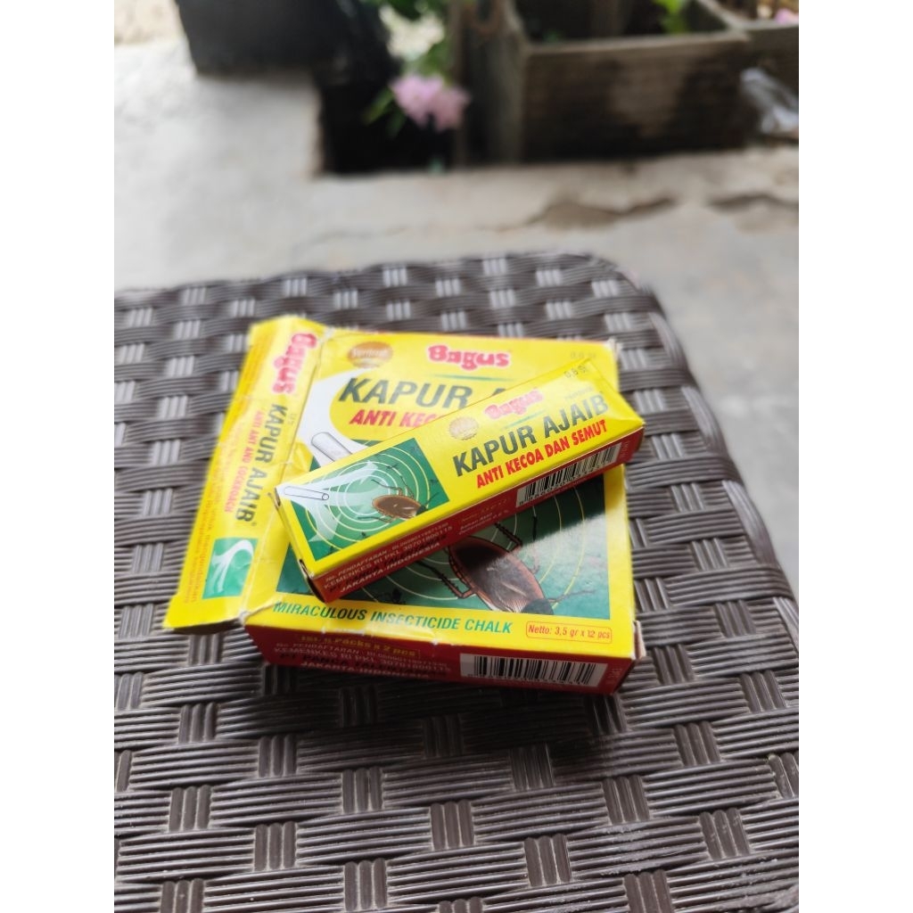 kapur ajaib kapur semut