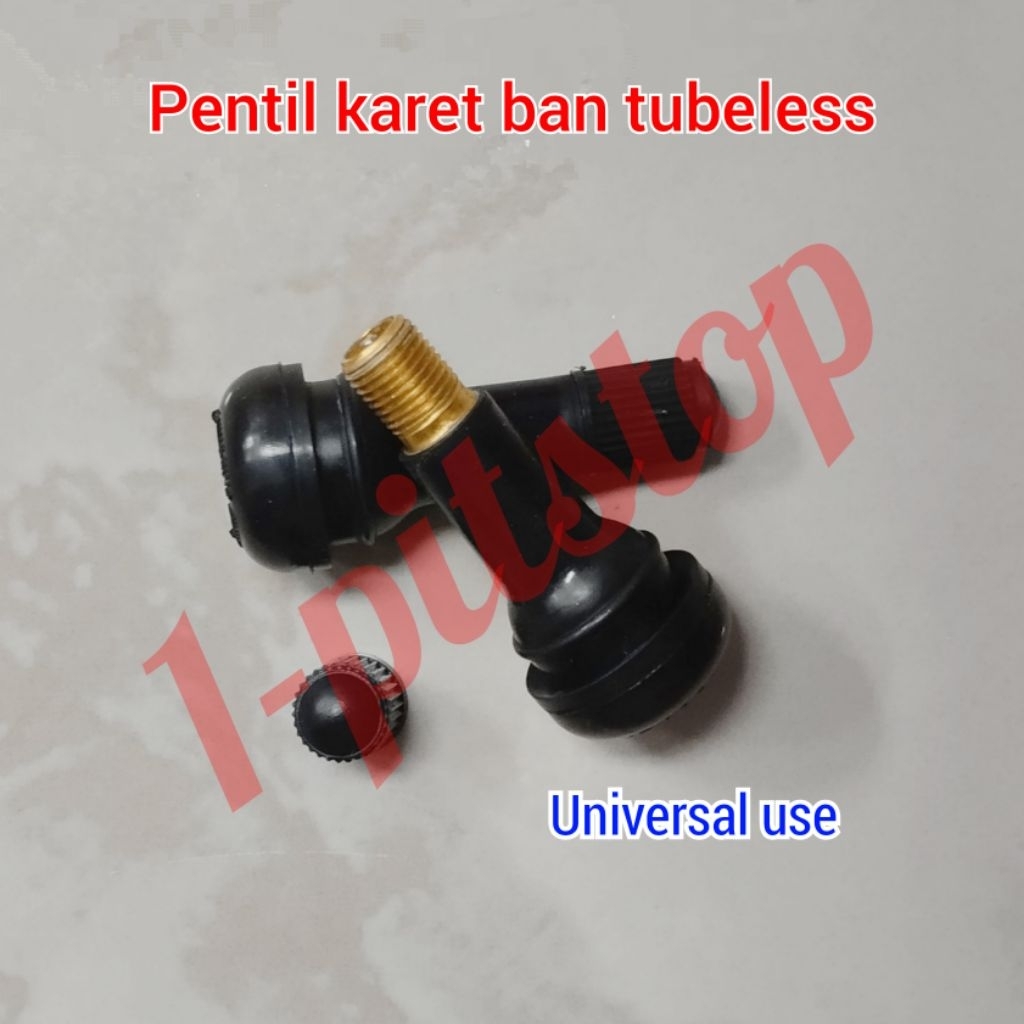 pentil karet ban tubeless pentil ban