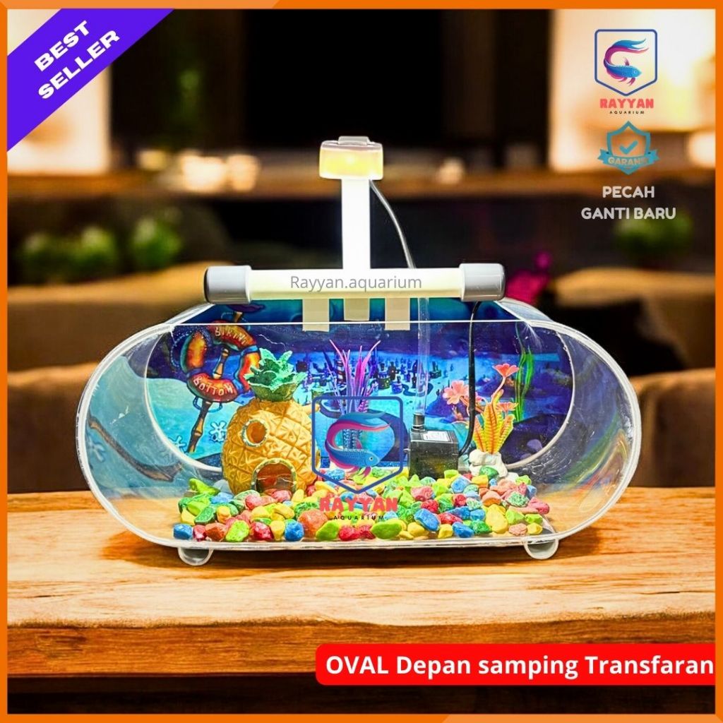 Aquarium full set lengkap minimalis JUMBO UK 35 X 15 X 15 tinggal pakai (JUMBO TB)