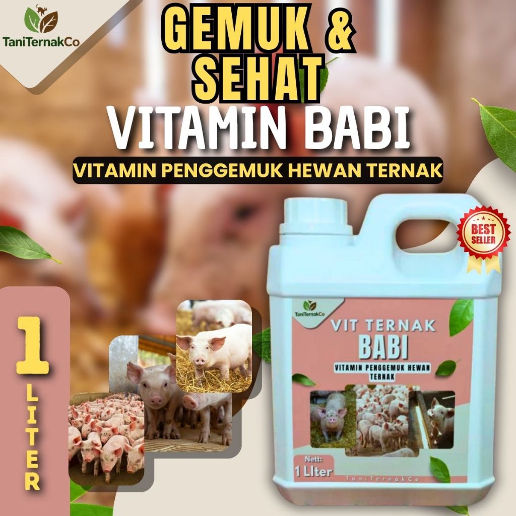 Vitamin Babi Biar Cepat Gemuk Vitamin  Penambah Nafsu Makan Babi Suplemen Ternak Babi  Cepat Besar
