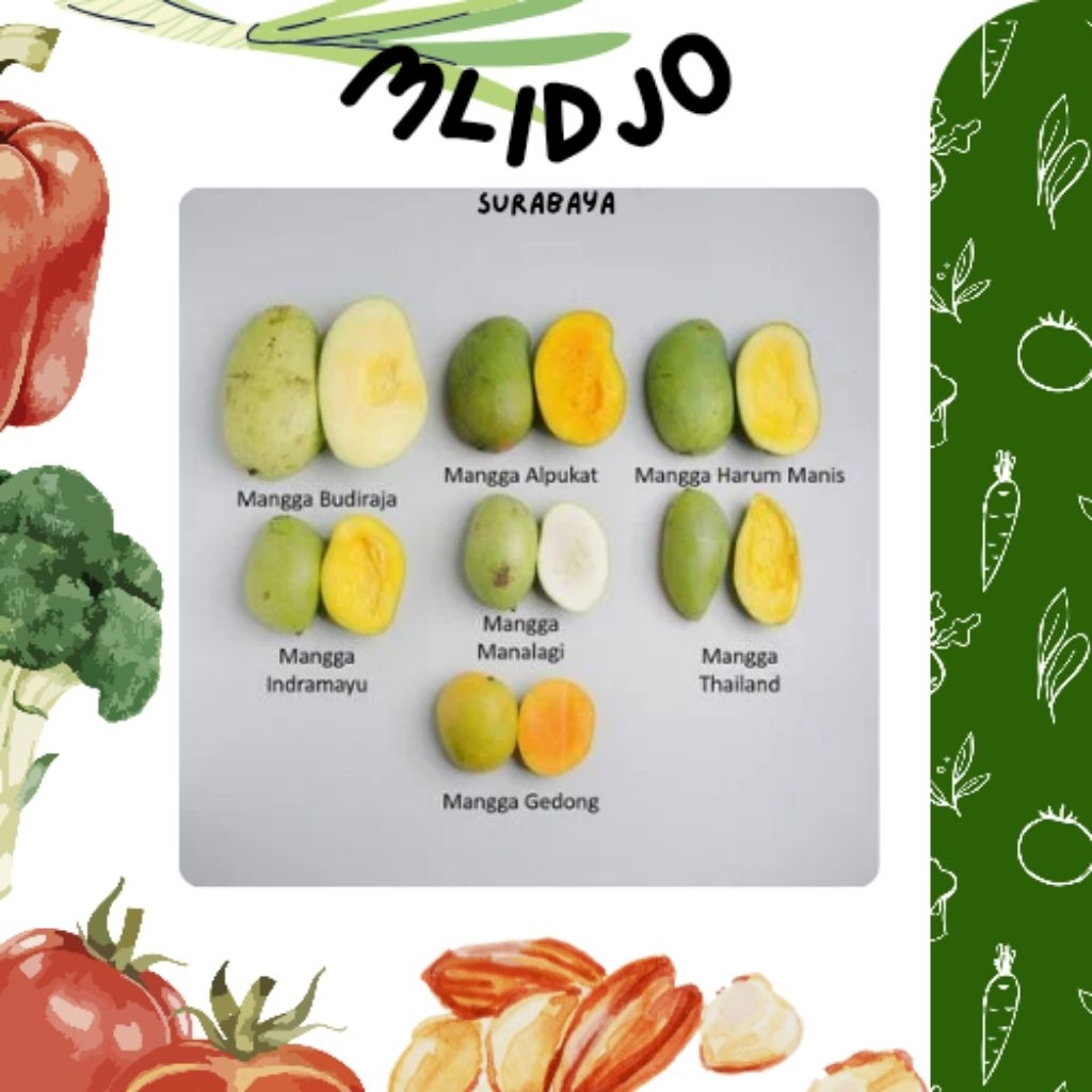 MANGGA MATANG FRESH BUAH 1KG MANALAGI GADUNG