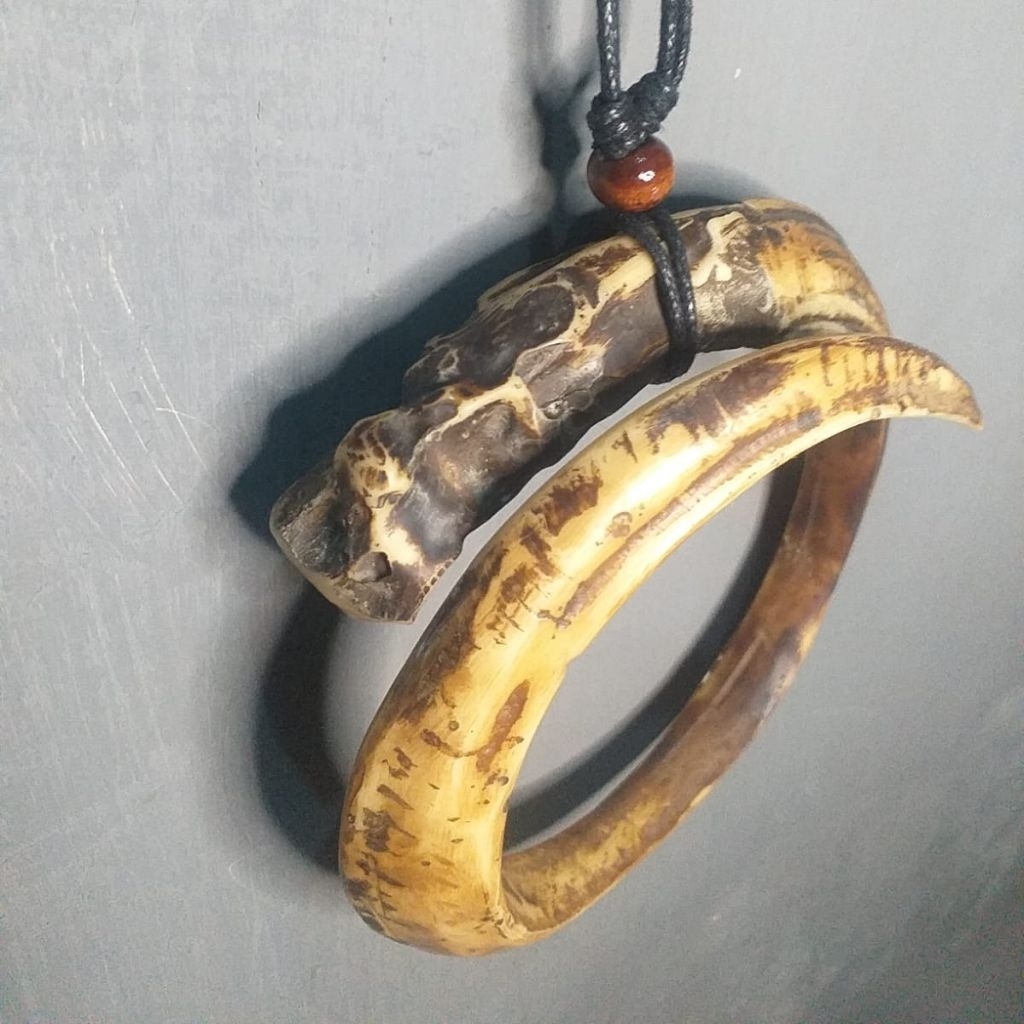 Kalung Bandul Taring Babi Melingkar Ngurak Besar
