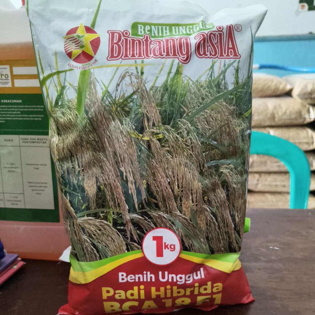 Padi hibrida BCA18 F1(bintang asia