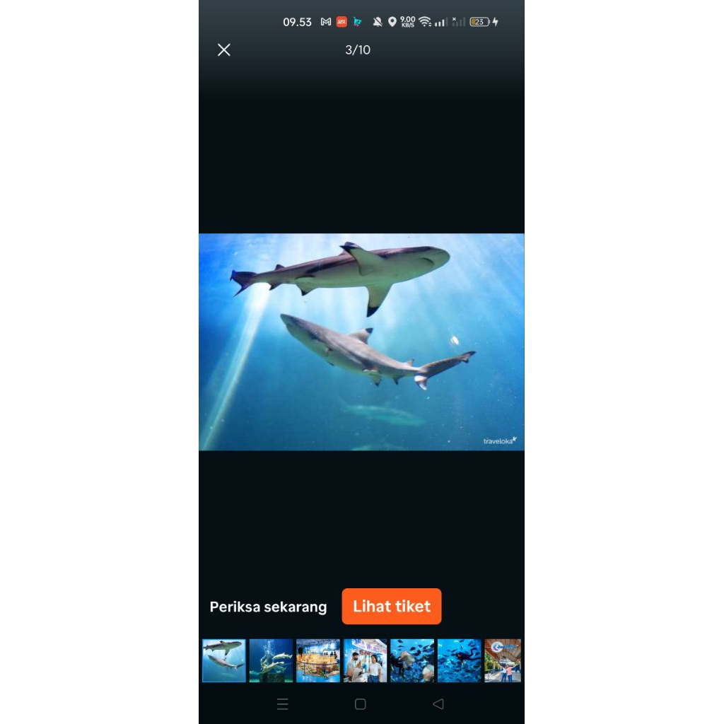 tiket annual pass SeaWorld