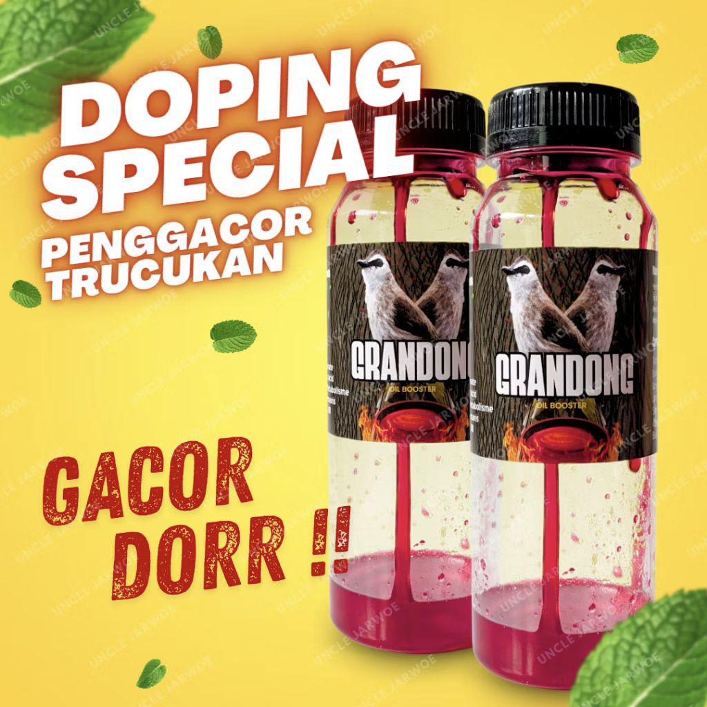 Grandong penggacor burung trucuk kutilang jenggot cucak ijo segala jenis cucak ropel minuman penggac