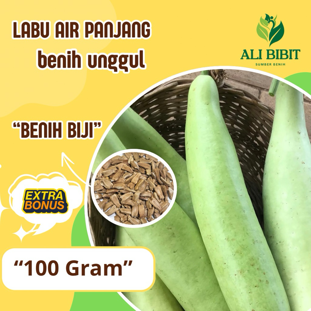 100 Gram >Biji Benih Labu Air Panjang /Labu Manisa > Bibit Labu Air> Bonus benih