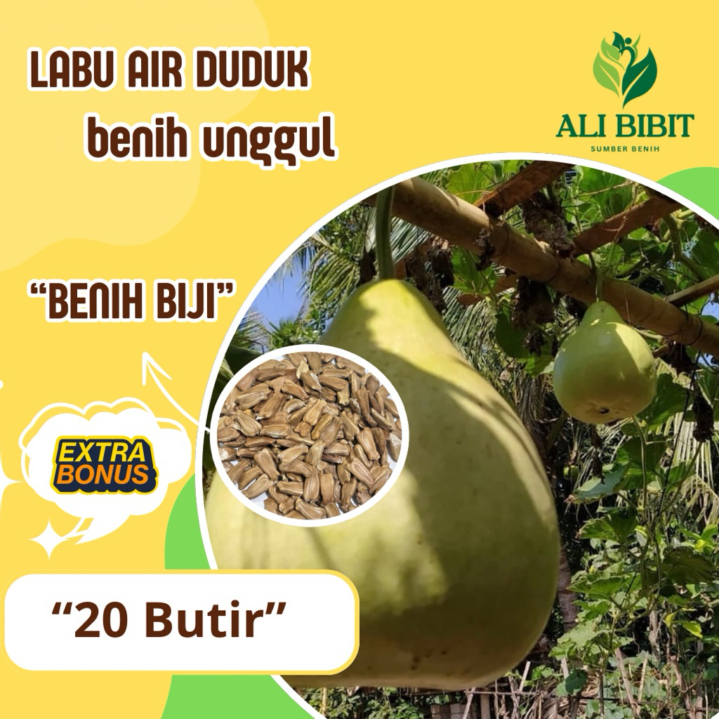 20 Butir> Biji Benih Labu Air Duduk /Labu Bulat> Bibit Labu Air> Bonus benih