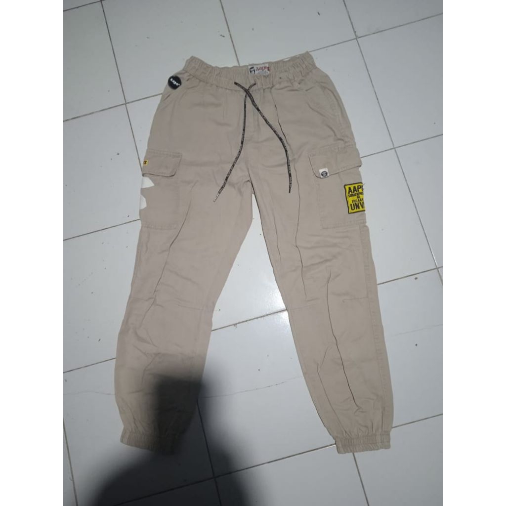 Cargo jogger aape