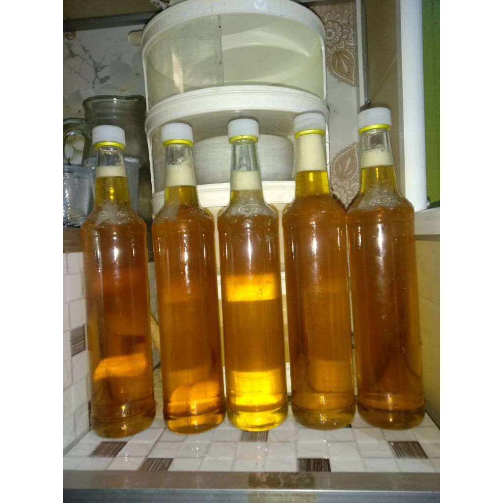Madu Hutan Asli kemasan botol marjan 460 ml