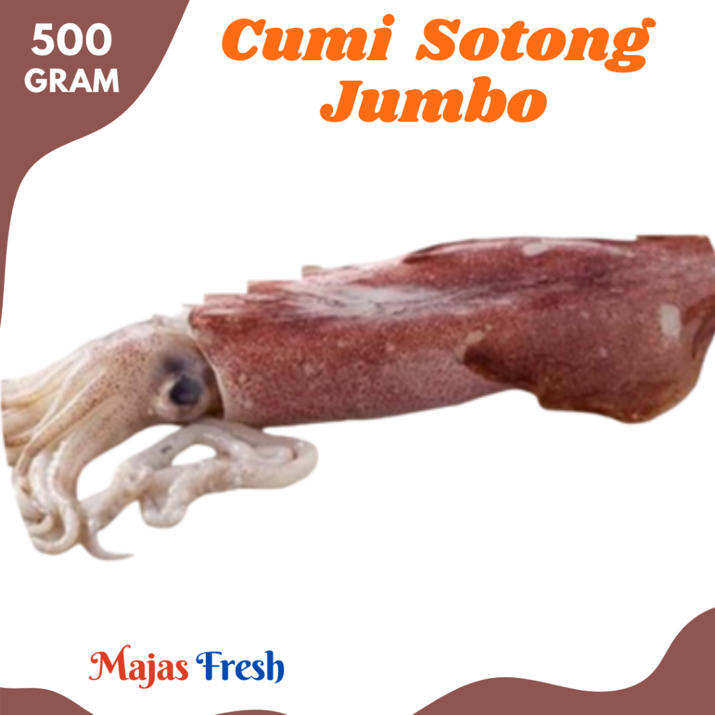 CUMI SOTONG Jumbo Segar - Cumi Utuh Sotong Besar Fresh | Isi 1 Pcs - Berat 500gr [ Harga Per 0,5 Kg 