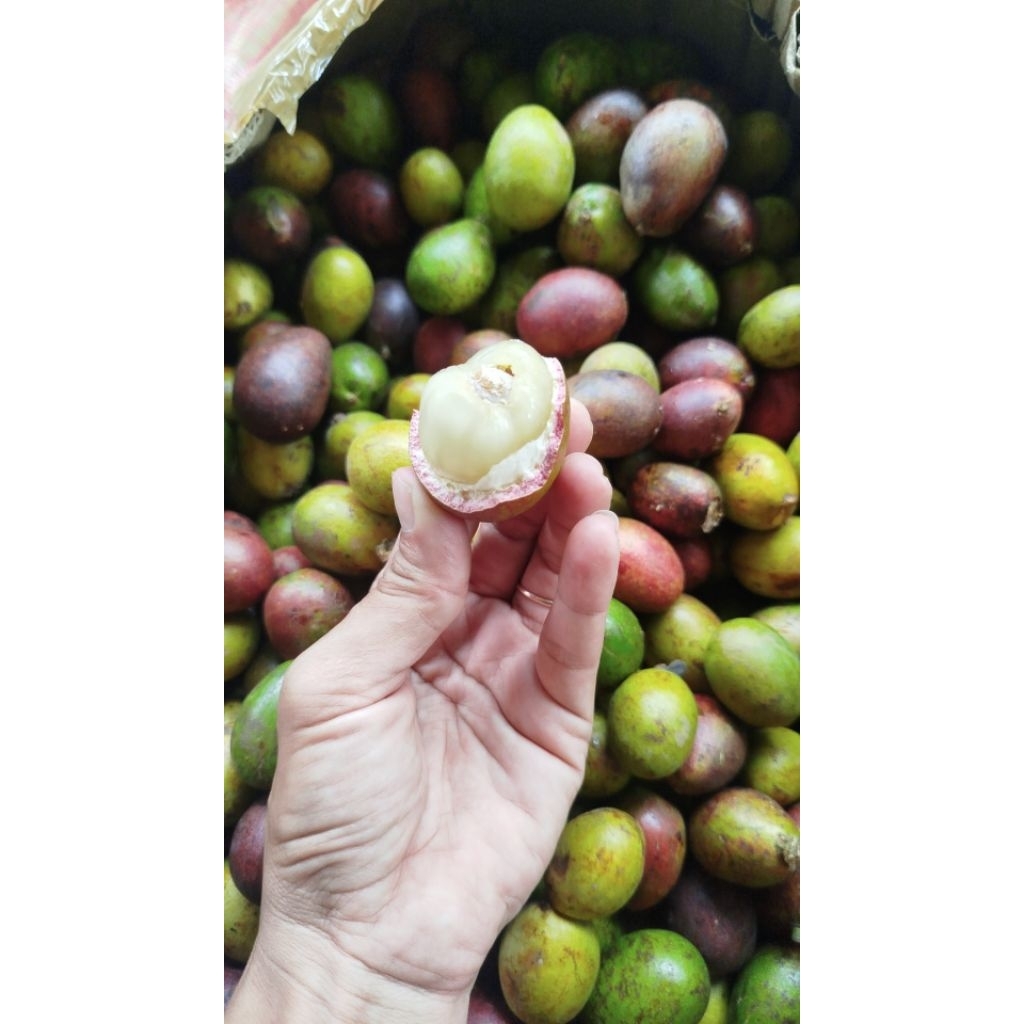 Buah Matoa Super 1 kg