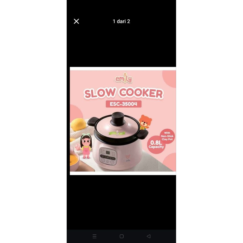 slow cooker emily preloved