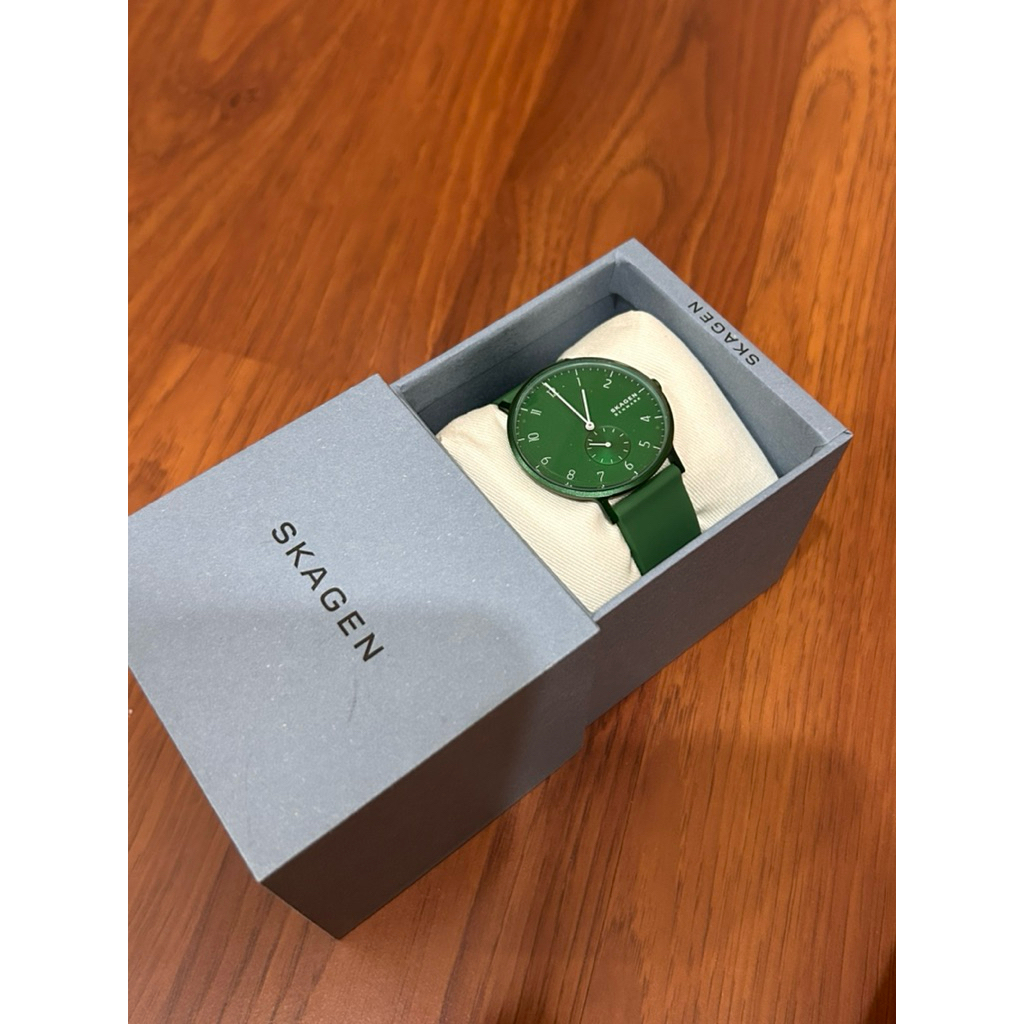 BRAND NEW skagen watch original with tag