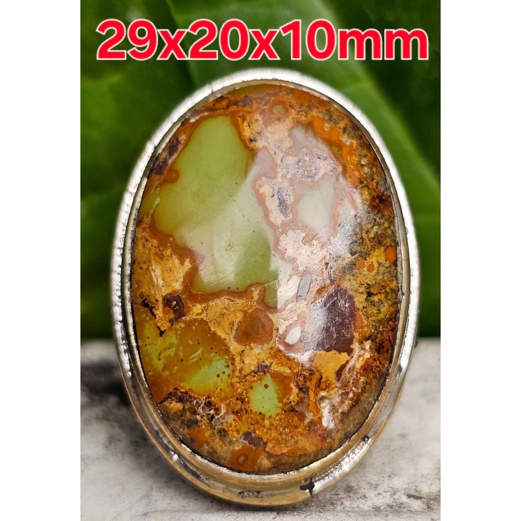 Natural Pirus Persia Cokelat Cakep Serat Emas