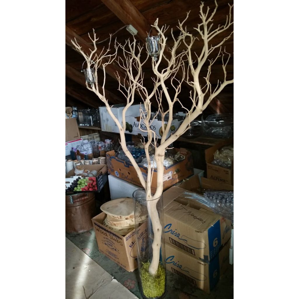 Ranting Pohon Bercabang Rimbun  panjang 2m Kayu Dekorasi Ranting Pohon Kering Ranting Pohon Hias