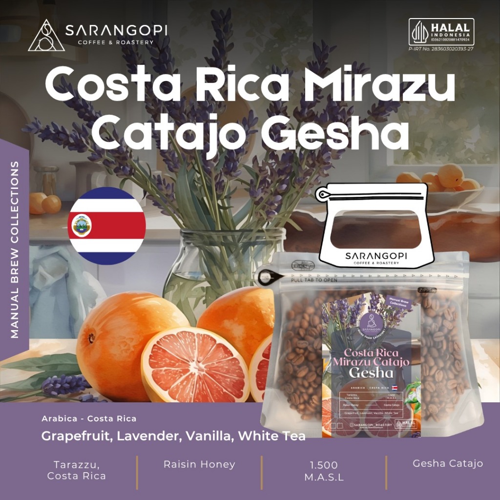 Costa Rica Mirazu Catajo Geisha Kopi Arabika - Sarangopi Roastery Speciality Beans V60 Coffee - 100%