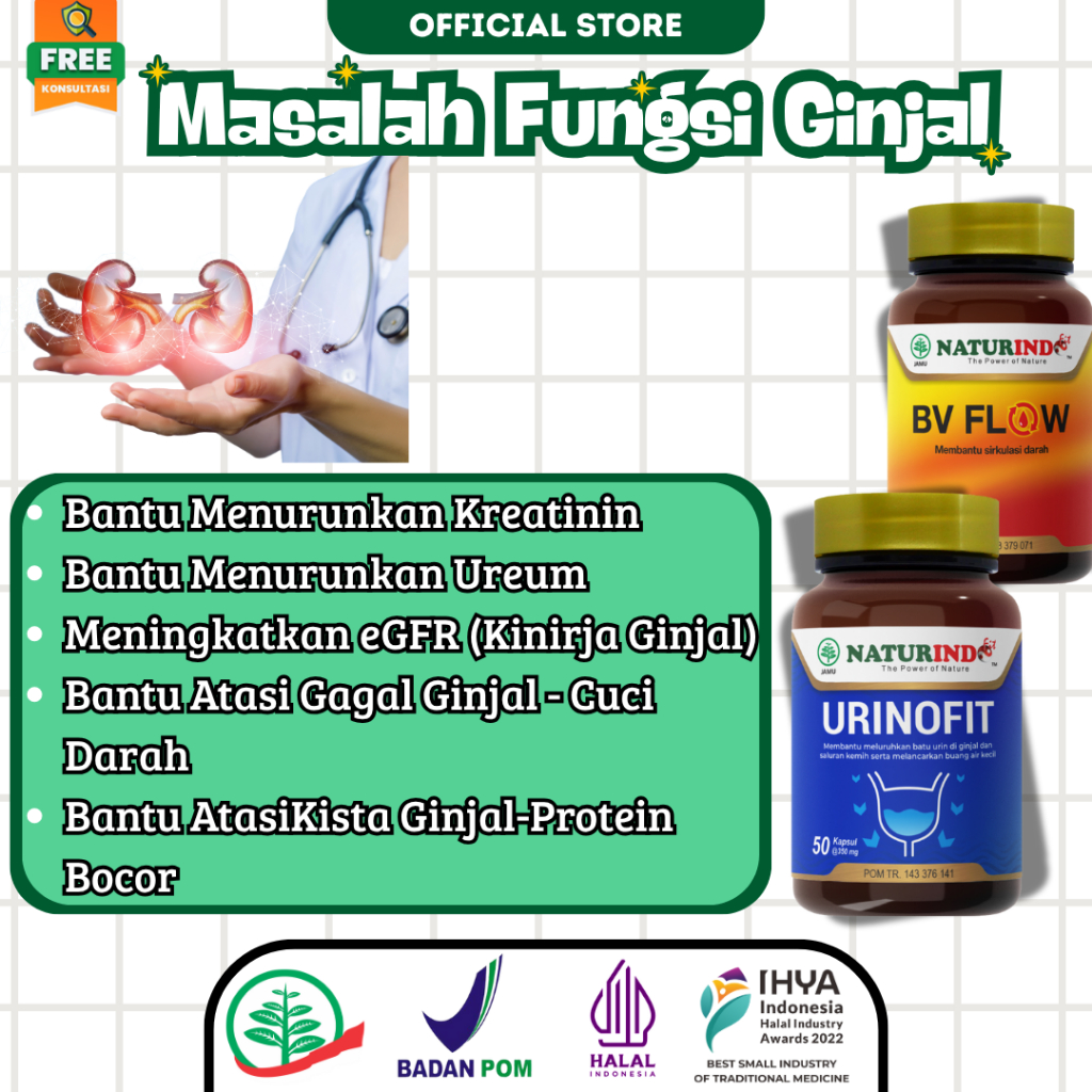 Herbal Atasi Masalah Fungsi Ginjal Menurunkan Kreatinin & Ureum Meningkatkan Kinerja Ginjal
