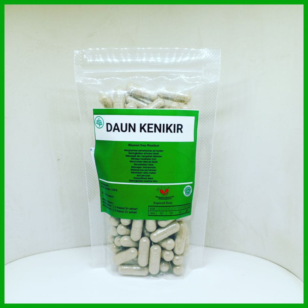 kapsul daun kenikir isi 100