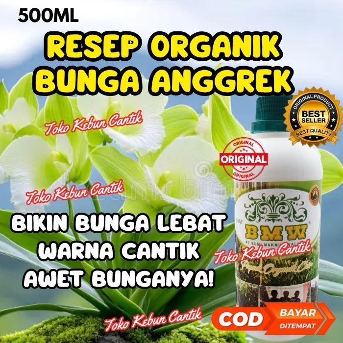 Pupuk Alami untuk Anggrek Cepat Berbunga dan Subur, Bunga Indah dan Banyak, Daun Mengkilap Cantik