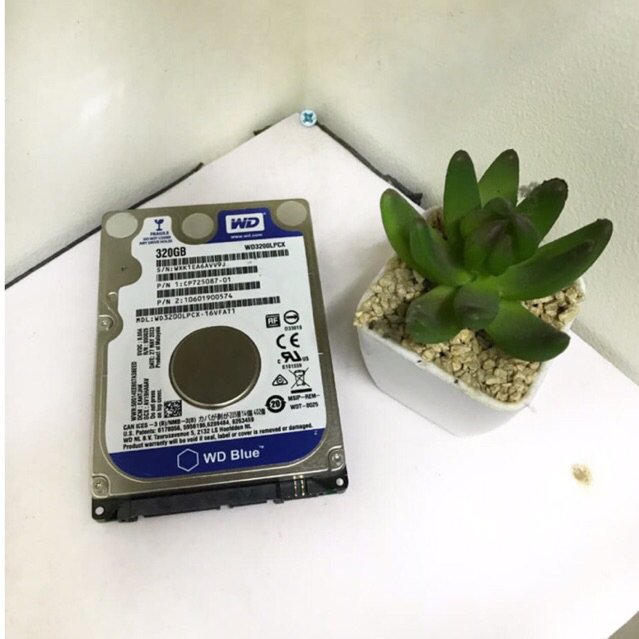 HARDISK LAPTOP 320GB WD BLUE SATA 2.5 HDD NOTEBOOK