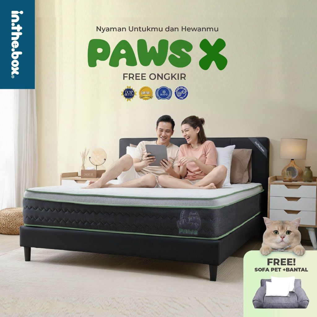 [Bundling] INTHEBOX PAW X | GRATIS Sofa Kucing + Bantal