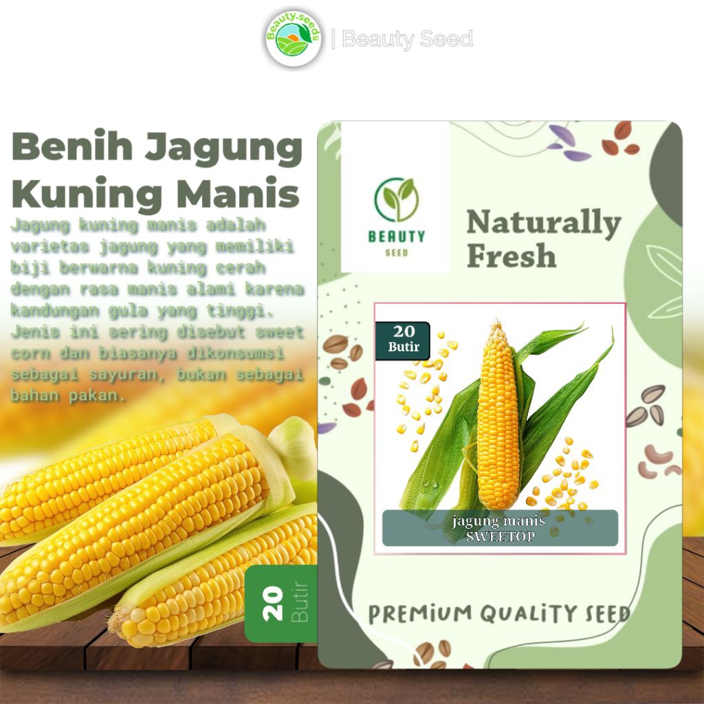 20 Bibit Biji Jagung Sayur Manis - Benih Jagung Manis Unggulan
