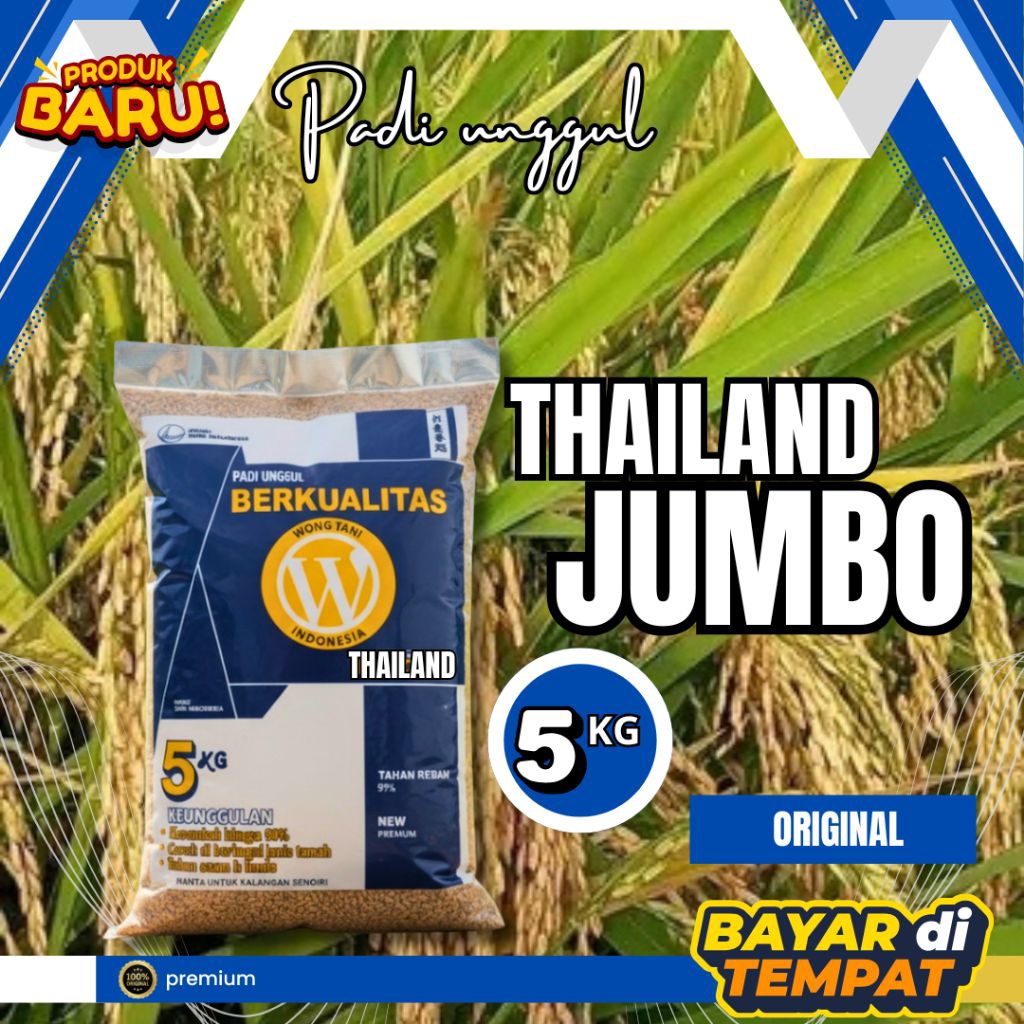 BENIH PADI THAILAND JUMBO 5KG