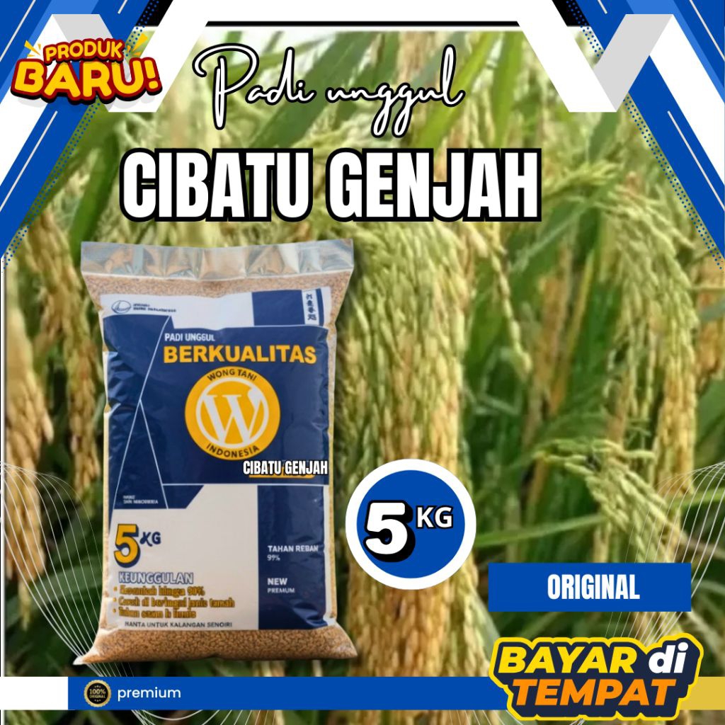Benih padi Cibatu genjah unggul 5kg