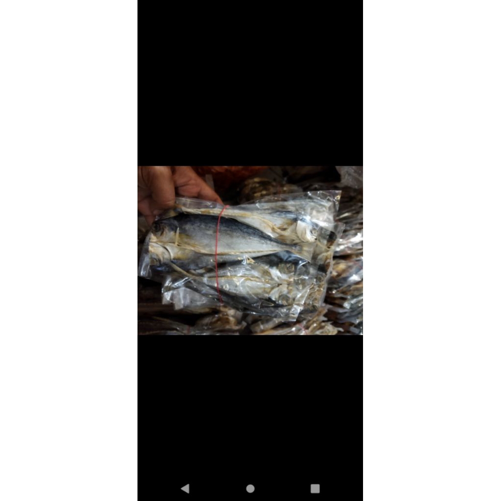 ikan wais / talang talang / ikan asin wais talang talang / ikan asin pangandaran/ ikan laut / ikan a