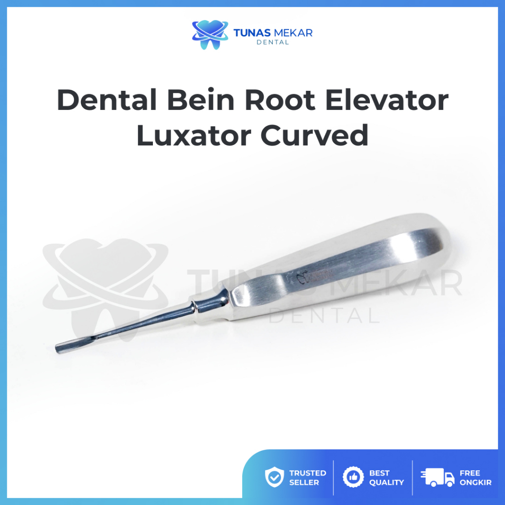 Dental Bein Root Elevator Luxator Curved Cabut Gigi