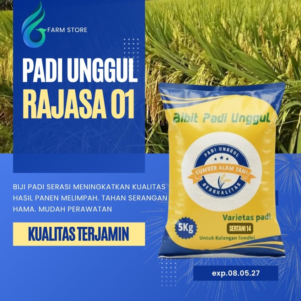 Benih padi RAJASA 01 kemasan 5kg