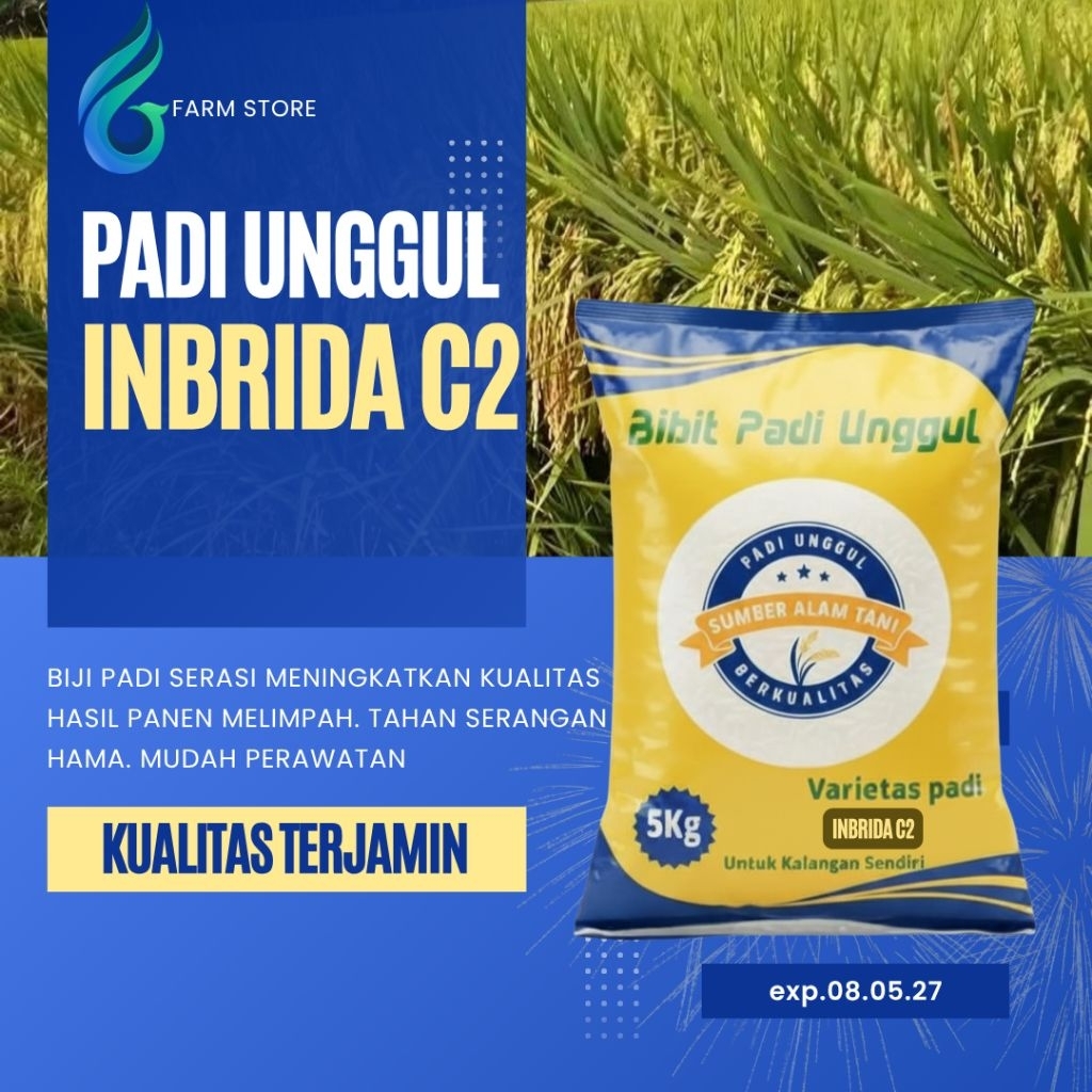 Benih Padi INBRIDA C2 kemasan 5kg