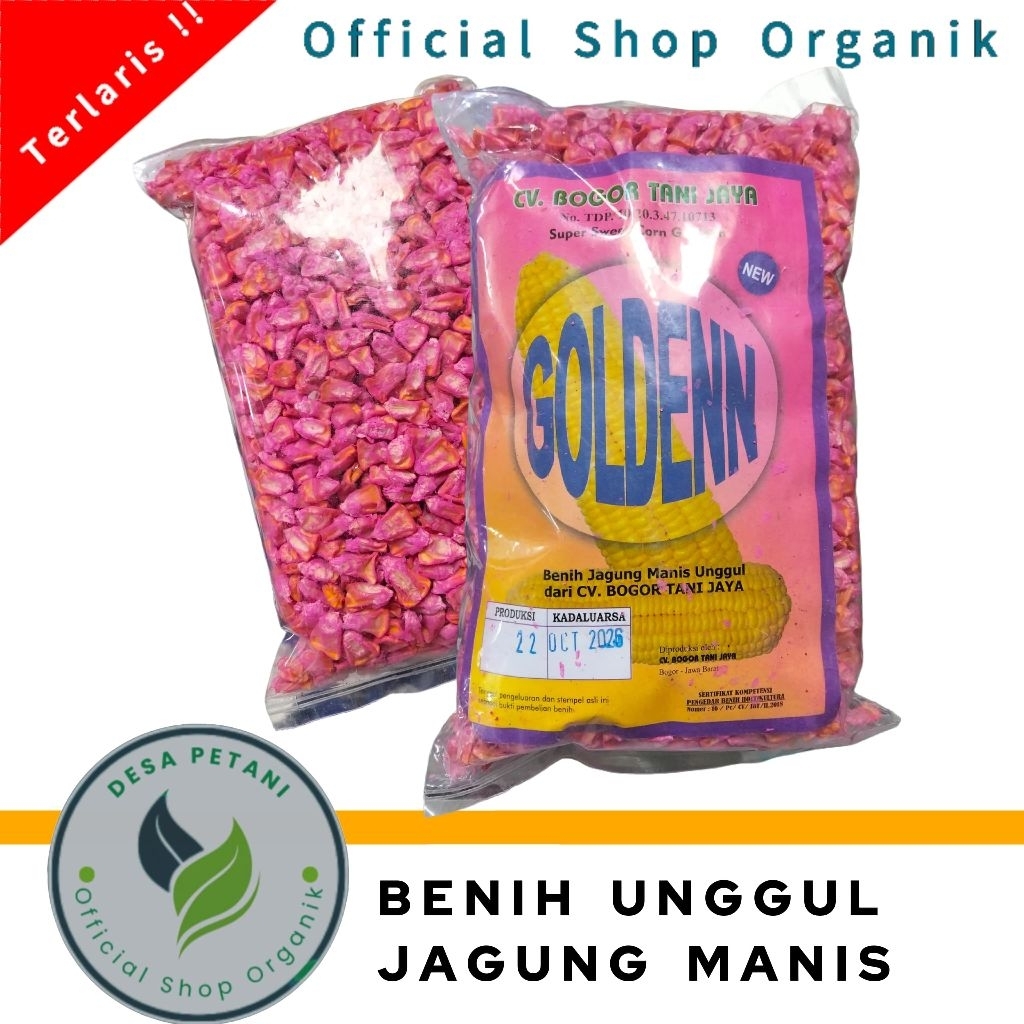 Benih Jagung Manis unggul GOLDEN isi 500.gram benih jagung super