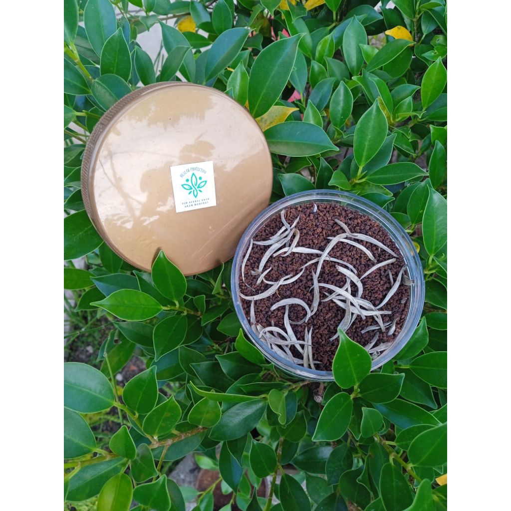 original teh premium teh hitam putih teh herbal