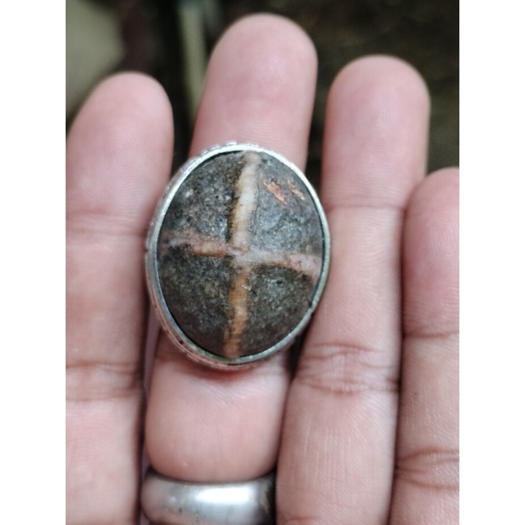 Batu Tapak Jalak Urat Timbul