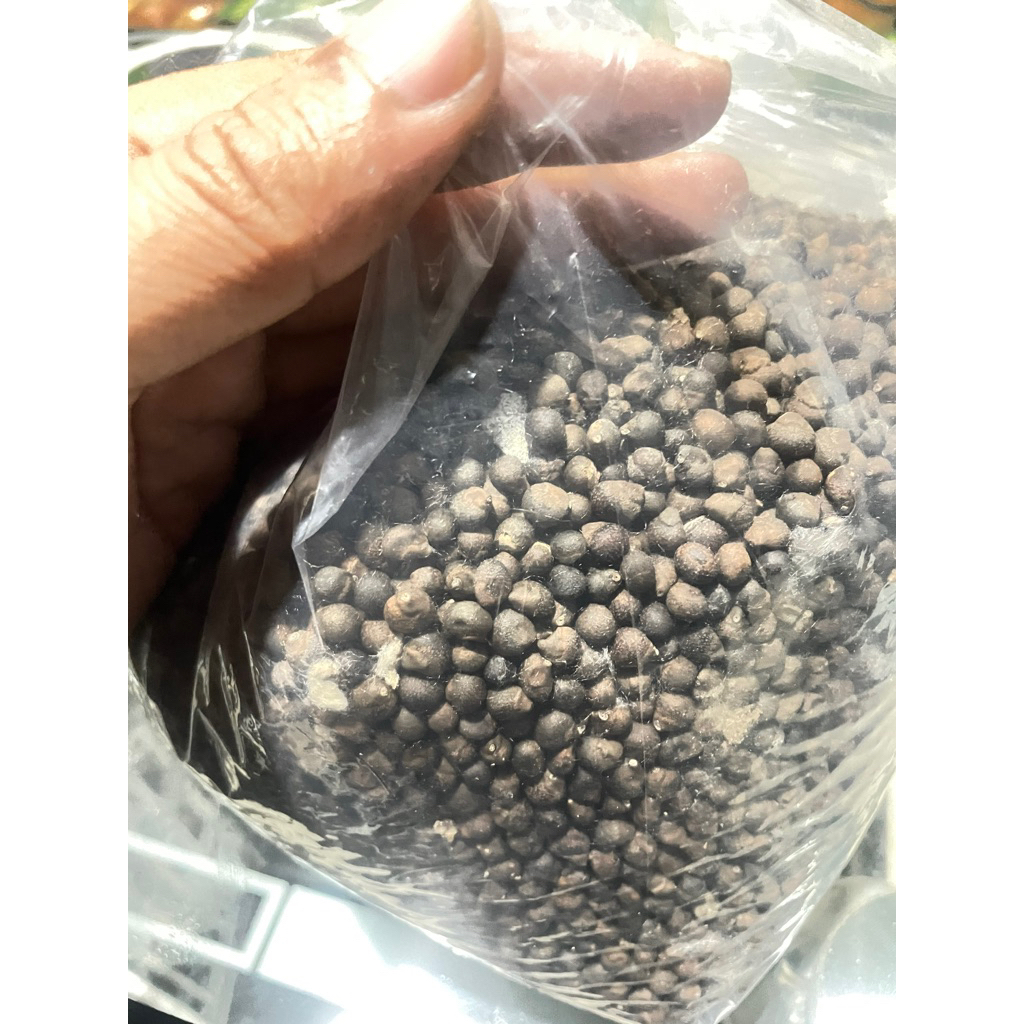 KLENTENG BIJI KAPUK RANDU 1kg