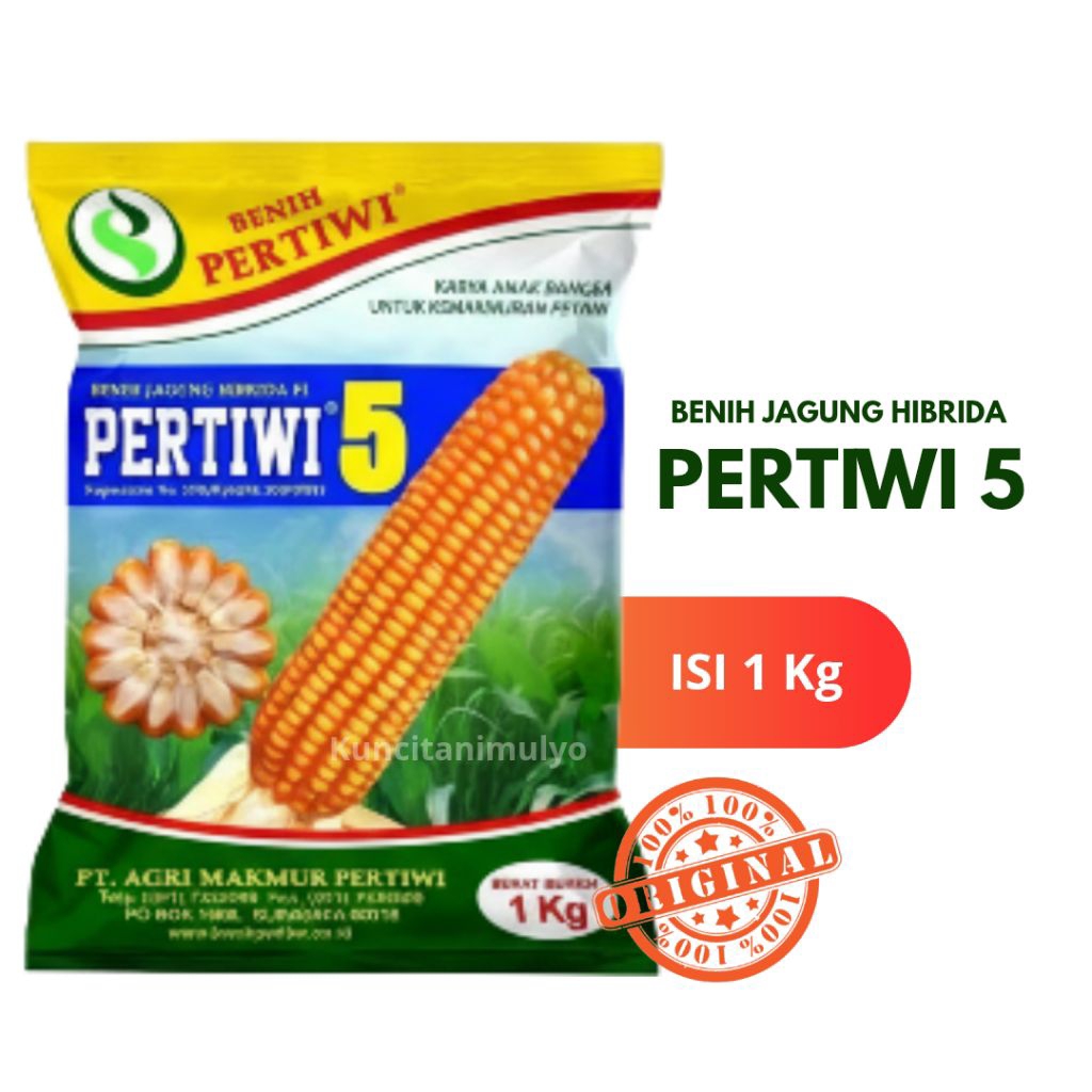 Benih Jagung Hibrida PERTIWI 5 dari Benih Pertiwi (1 kg)