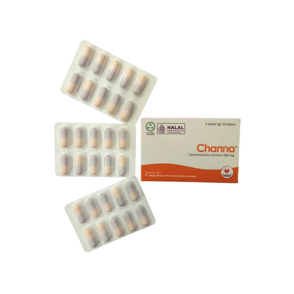 CHANNA STRIATA EKSTRAK IKAN GABUS @10 KAPSUL