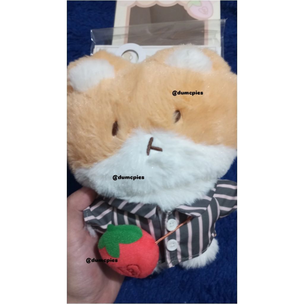 booked teolaegi baekhyun 20cm